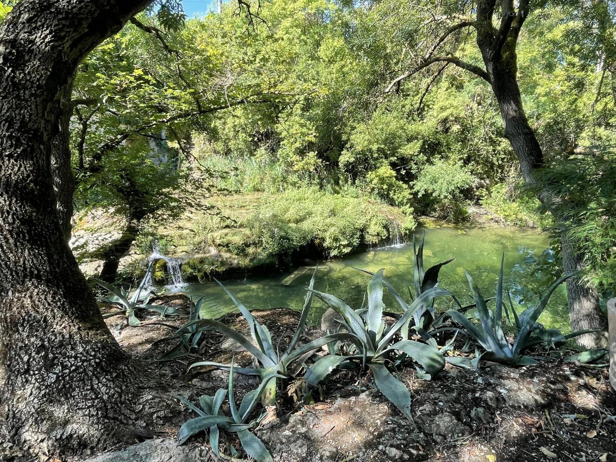 Le Domaine De La Tuilerie - Gite De Charme En Bord De Riviere Avec Piscine Servies-en-Val ห้อง รูปภาพ